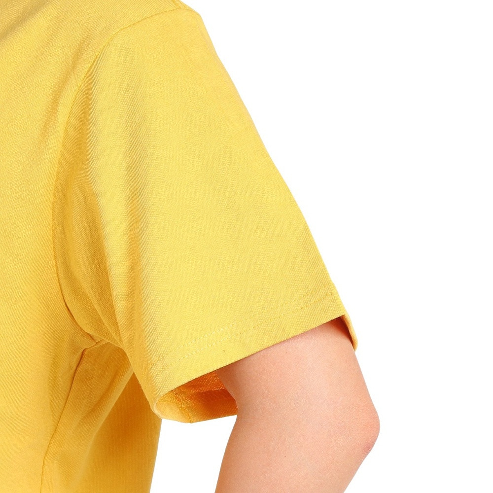 チャムス（CHUMS）（メンズ、レディース）高耐久 ヘビー ウェイト コットン ロゴスターズアンドストライプTシャツ CH01-2388-Y002 イエロー ブレイキン