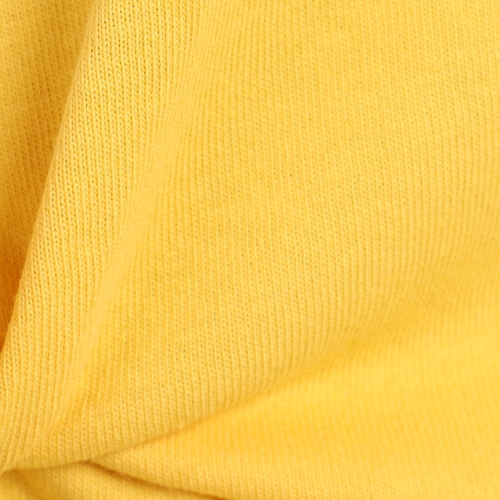 チャムス（CHUMS）（メンズ、レディース）高耐久 ヘビー ウェイト コットン ロゴスターズアンドストライプTシャツ CH01-2388-Y002 イエロー ブレイキン