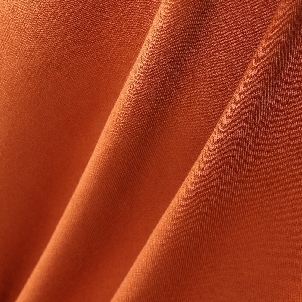 カブー（KAVU）（メンズ）アップル Tシャツ Orange 19821824 ORG