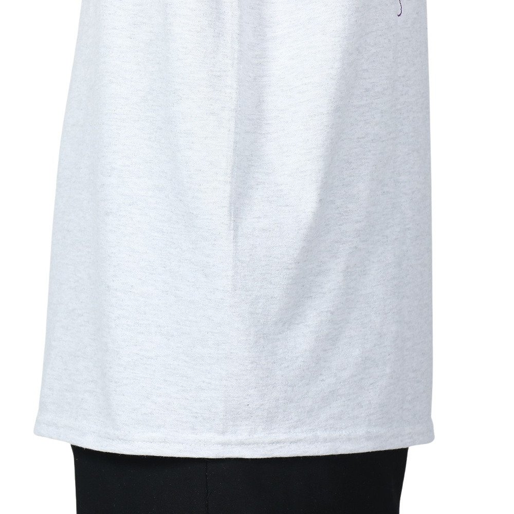 カブー（KAVU）（メンズ）パシフィックノースウェスト Tシャツ 19822037 ASH