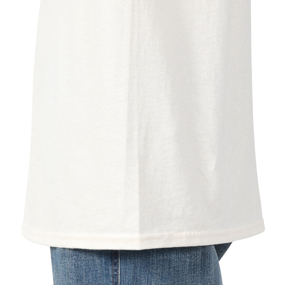 カブー（KAVU）（メンズ）半袖 テント Tシャツ 19822043 NTL 19822043 NTL