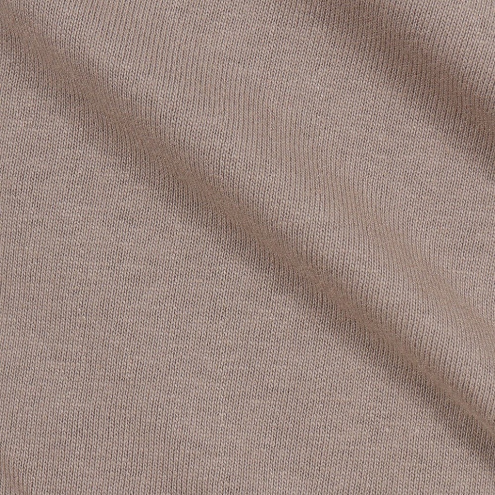 グラミチ（Gramicci）（メンズ、レディース）ワンポイントTシャツ G304-OGJ-COYOT