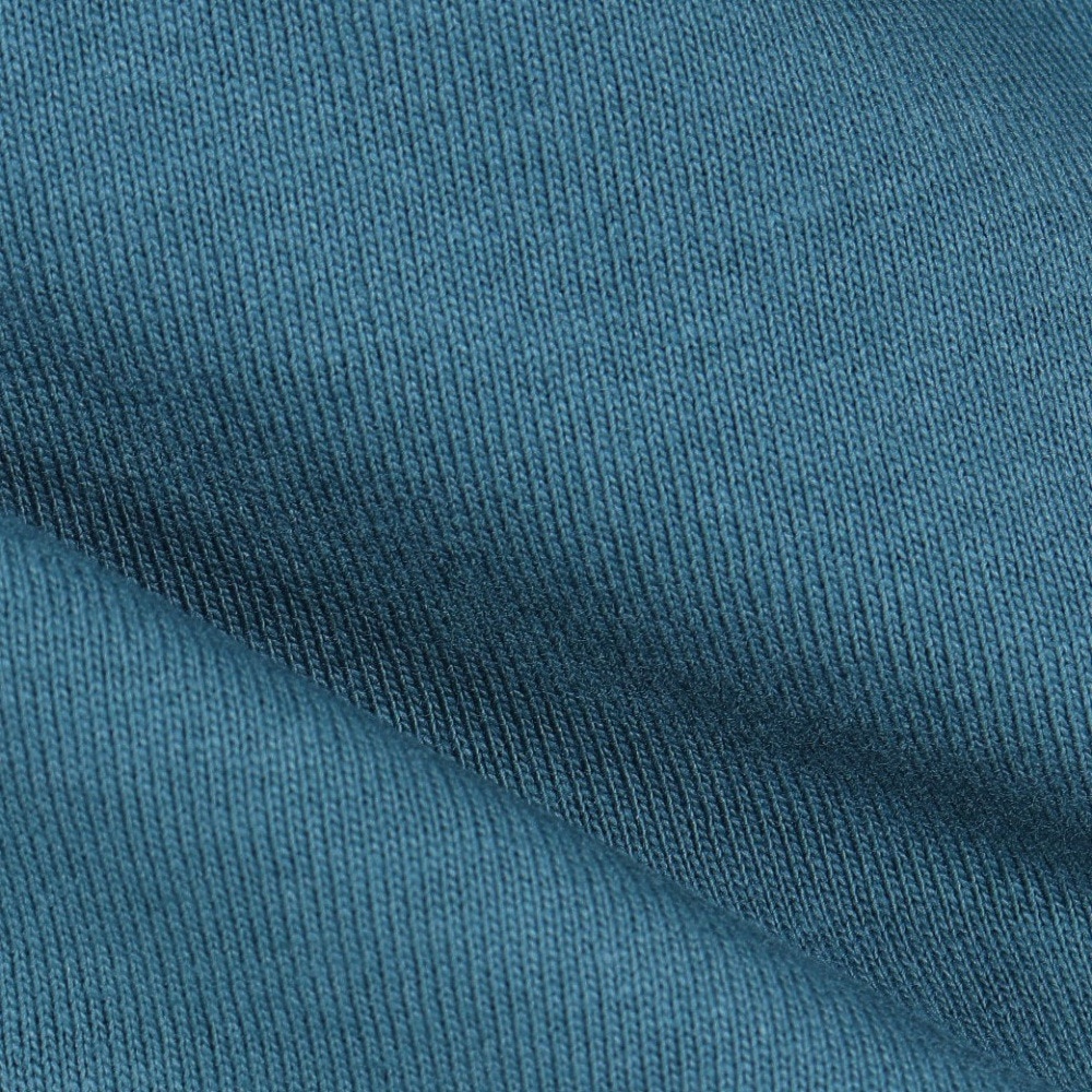 ジャックウルフスキン（JackWolfskin）（メンズ）半袖Tシャツ JP WANDER WOLF T 5033971_4299