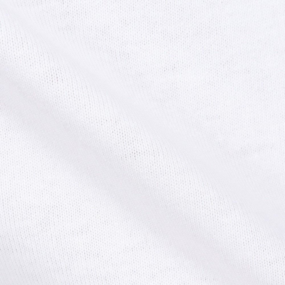 ジャックウルフスキン（JackWolfskin）（メンズ）半袖Tシャツ JP WANDER WOLF T 5033971_5055