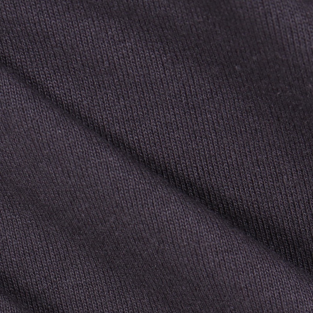 ジャックウルフスキン（JackWolfskin）（メンズ）半袖Tシャツ JP HOWLING WOLF SS T 5034091_6350