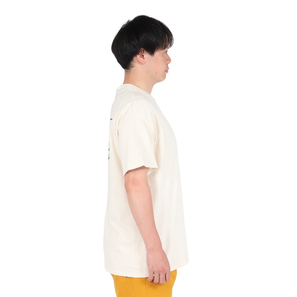 カブー（KAVU）（メンズ）トゥルーロゴTシャツ 19822238