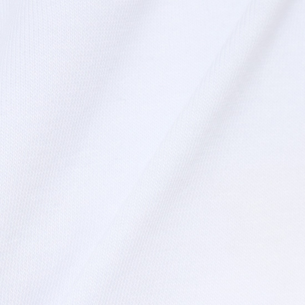 ボンファイア（Bonfire）（メンズ）半袖Tシャツ Mount range 50BNF5SCD2375 WHT ホワイト