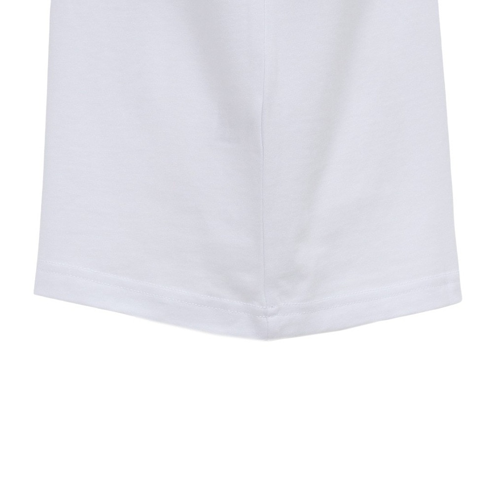 ボンファイア（Bonfire）（メンズ）半袖Tシャツ Mount range 50BNF5SCD2375 WHT ホワイト