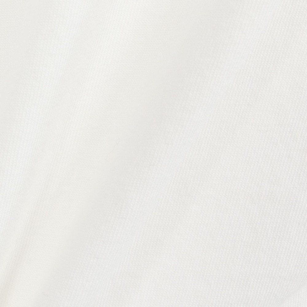 ゴースローキャラバン（GOSLOWCARAVAN）（メンズ）プールクマ ビッグTシャツ 341920 WHT