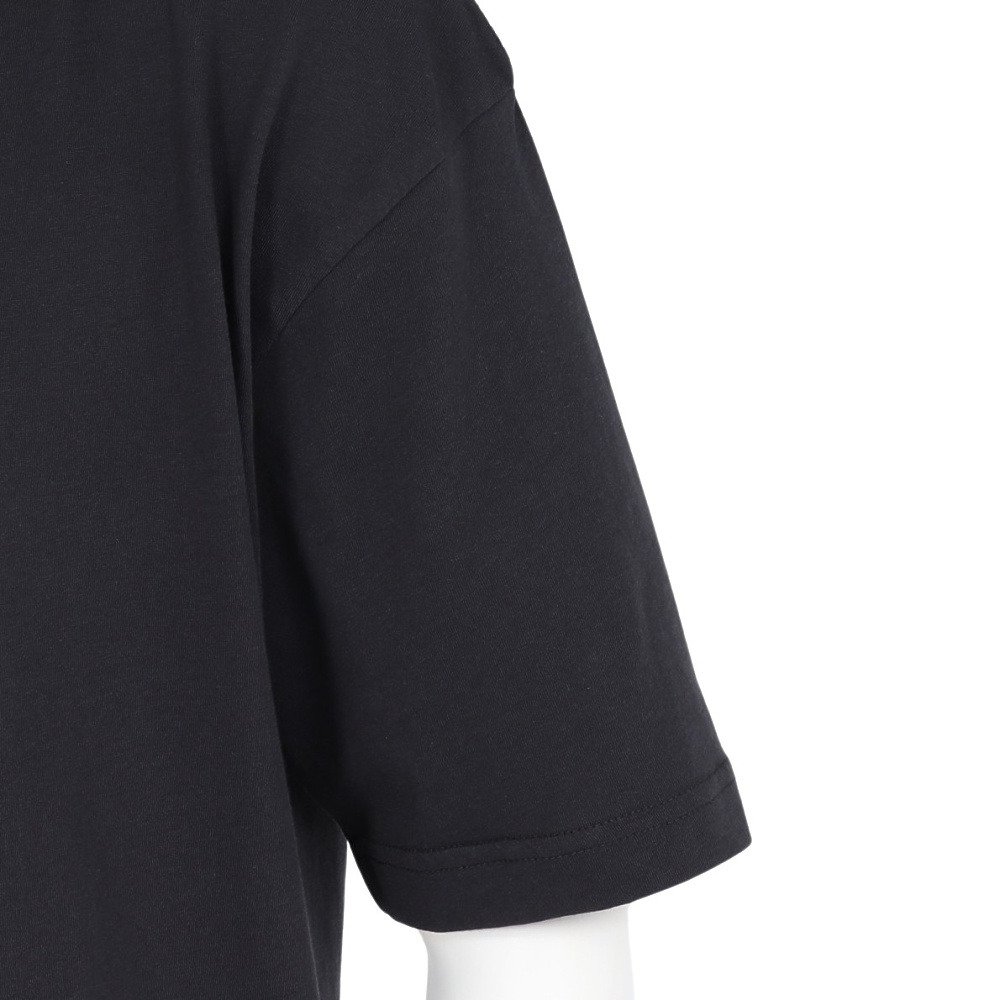アイスピーク（icepeak）（メンズ）半袖 Tシャツ トップス MILLINGTON 57635 660 290