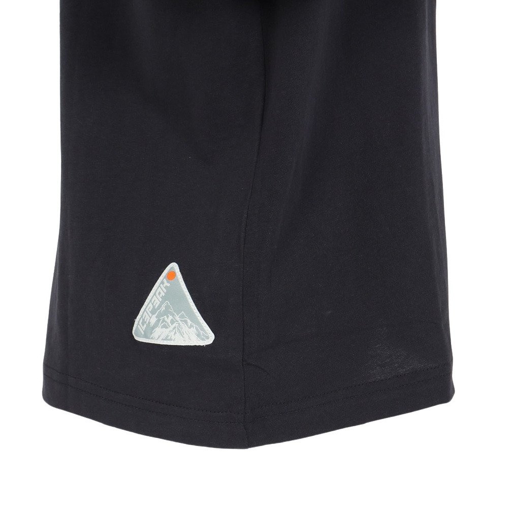 アイスピーク（icepeak）（メンズ）半袖 Tシャツ トップス MILLINGTON 57635 660 290