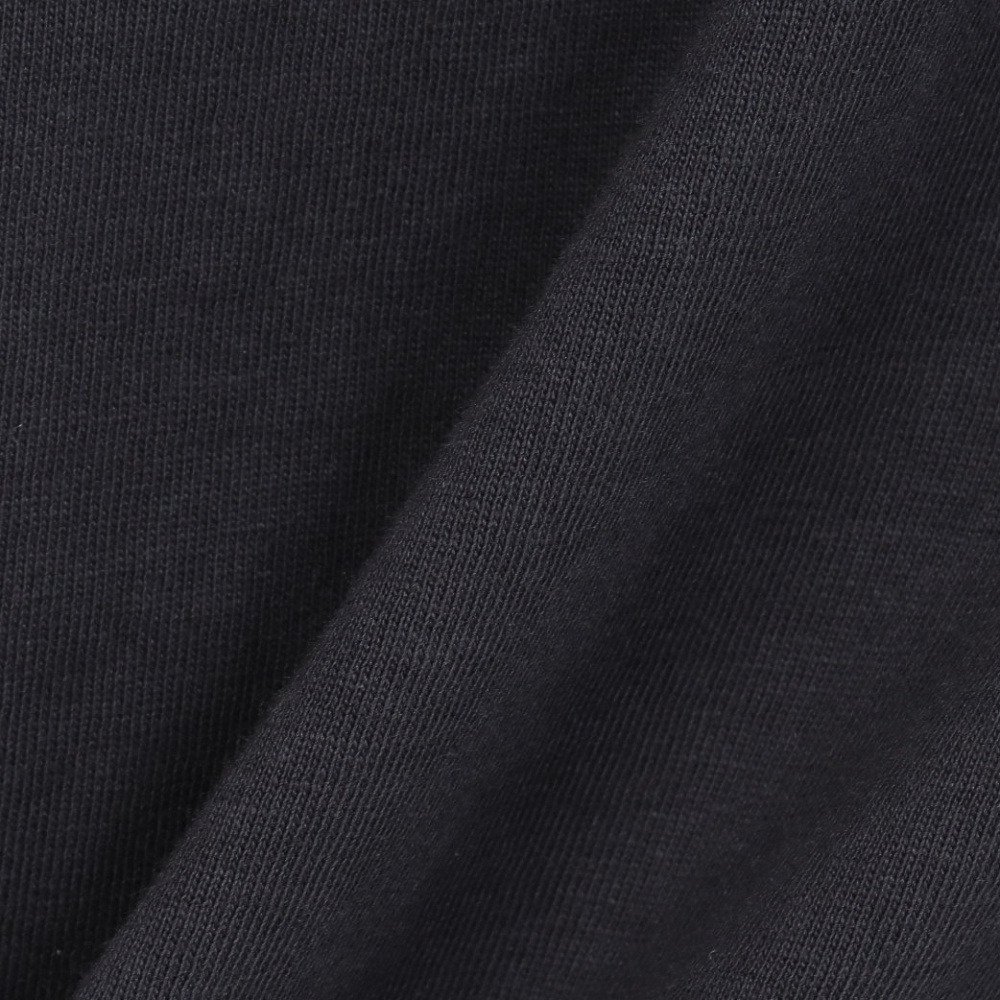 アイスピーク（icepeak）（メンズ）半袖 Tシャツ トップス MILLINGTON 57635 660 290