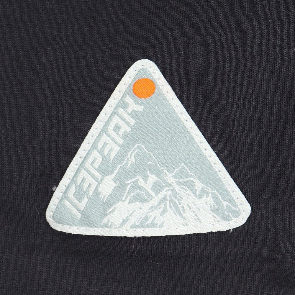 アイスピーク（icepeak）（メンズ）半袖 Tシャツ トップス MILLINGTON 57635 660 290