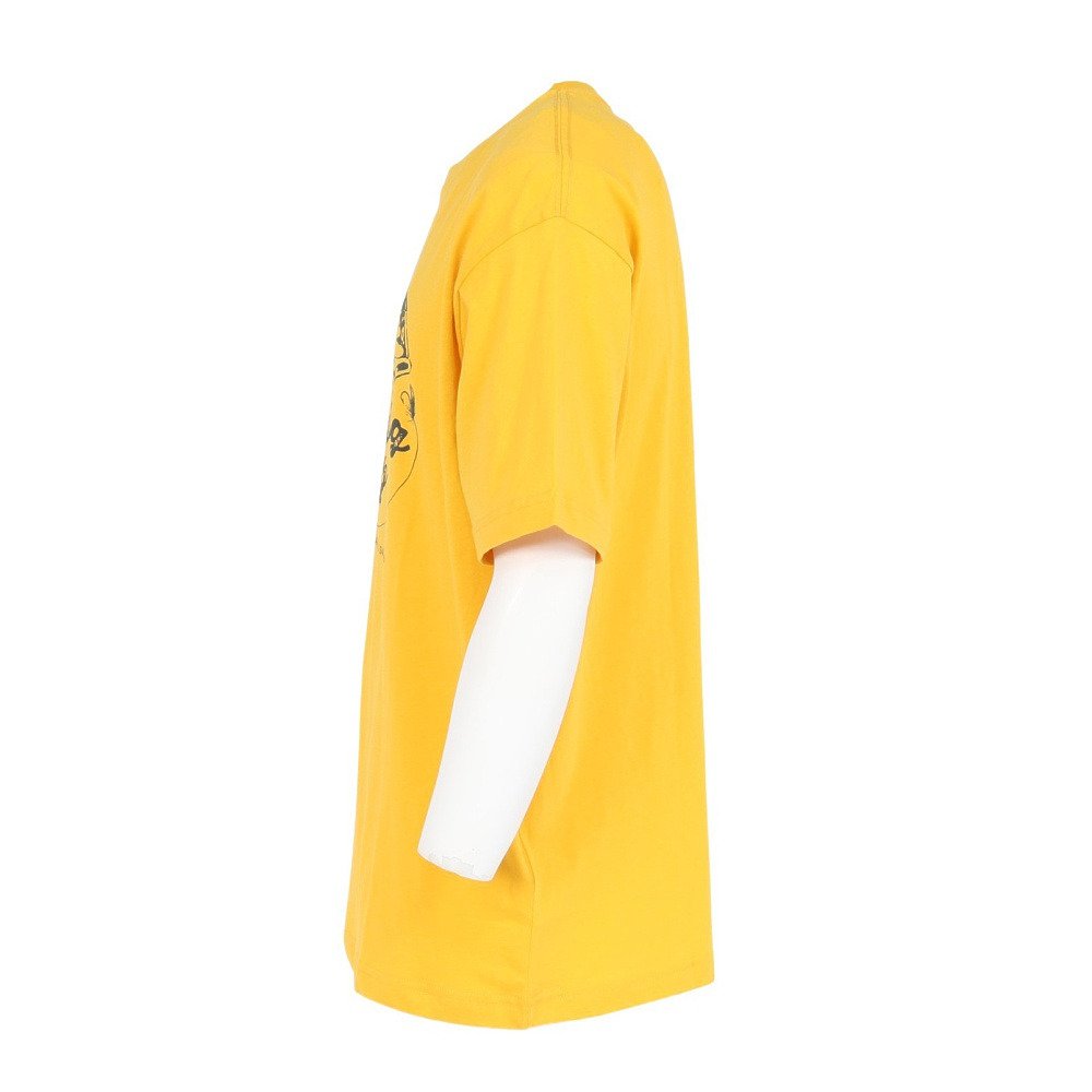アイスピーク（icepeak）（メンズ）半袖 Tシャツ トップス MILLINGTON 57635 660 435
