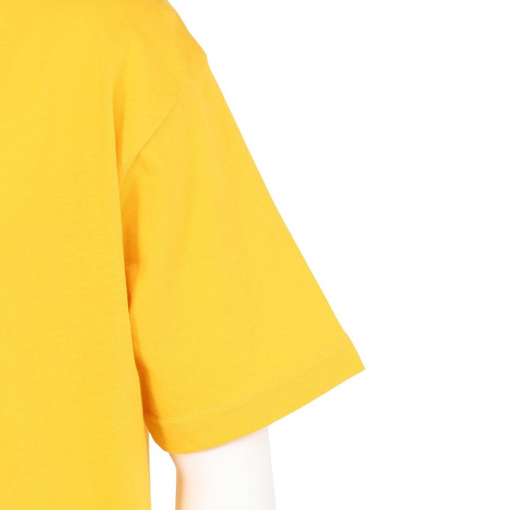 アイスピーク（icepeak）（メンズ）半袖 Tシャツ トップス MILLINGTON 57635 660 435