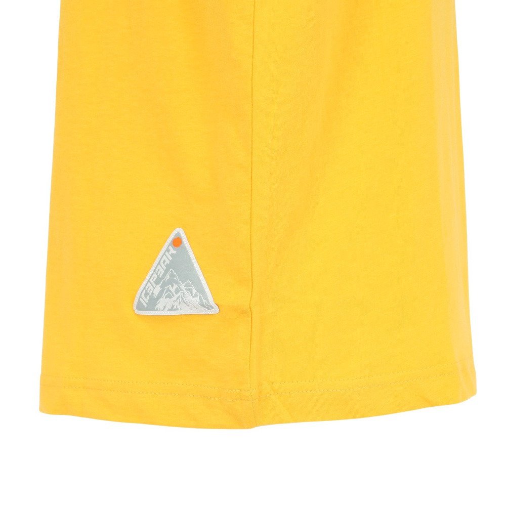 アイスピーク（icepeak）（メンズ）半袖 Tシャツ トップス MILLINGTON 57635 660 435