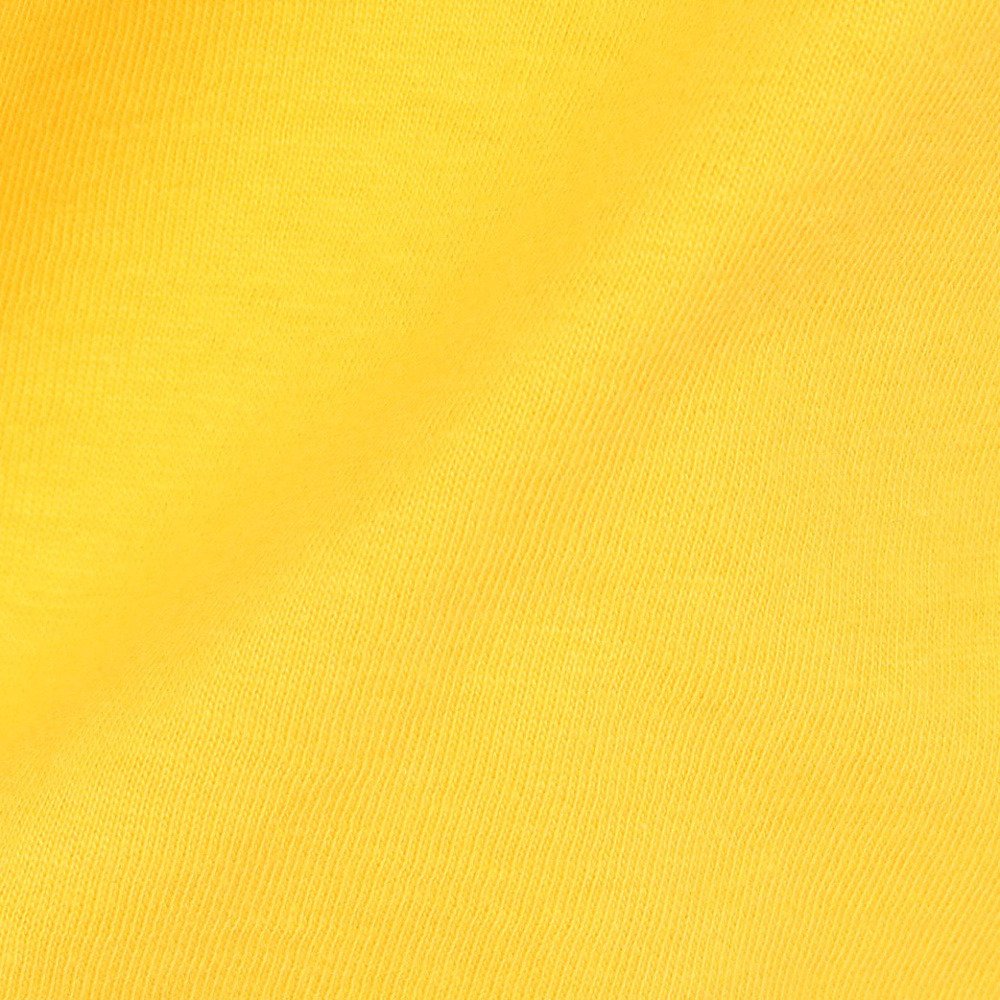 アイスピーク（icepeak）（メンズ）半袖 Tシャツ トップス MILLINGTON 57635 660 435