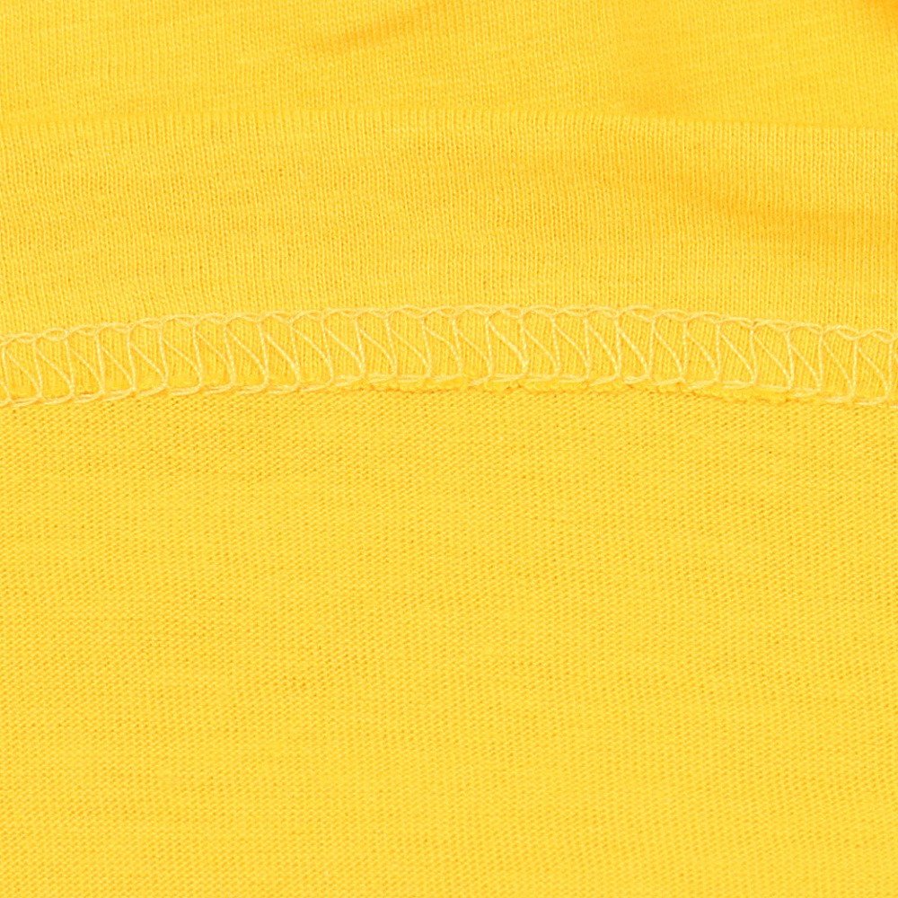 アイスピーク（icepeak）（メンズ）半袖 Tシャツ トップス MILLINGTON 57635 660 435