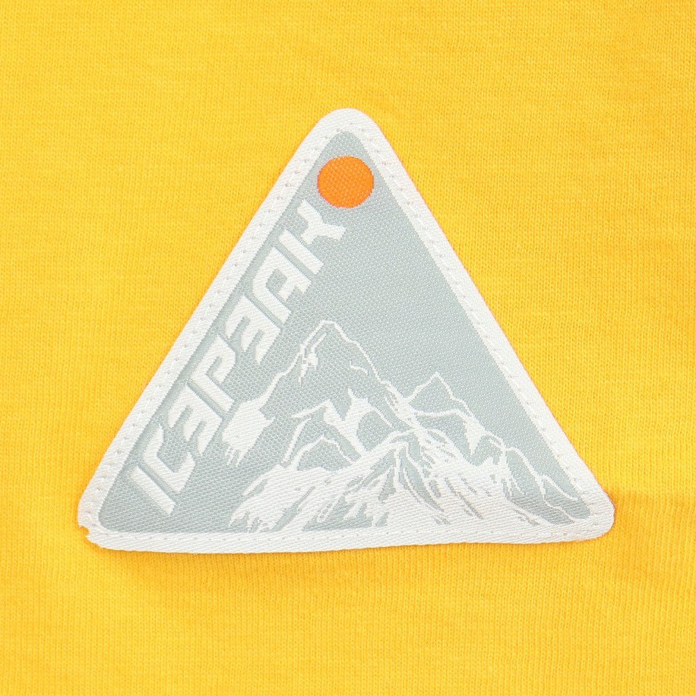 アイスピーク（icepeak）（メンズ）半袖 Tシャツ トップス MILLINGTON 57635 660 435
