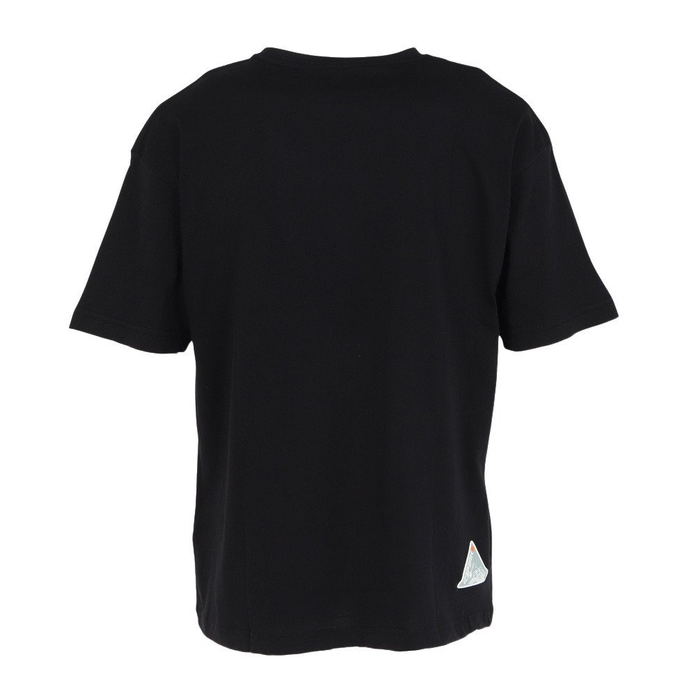 アイスピーク（icepeak）（メンズ）半袖 Tシャツ トップス MILLINGTON 57635 660 990