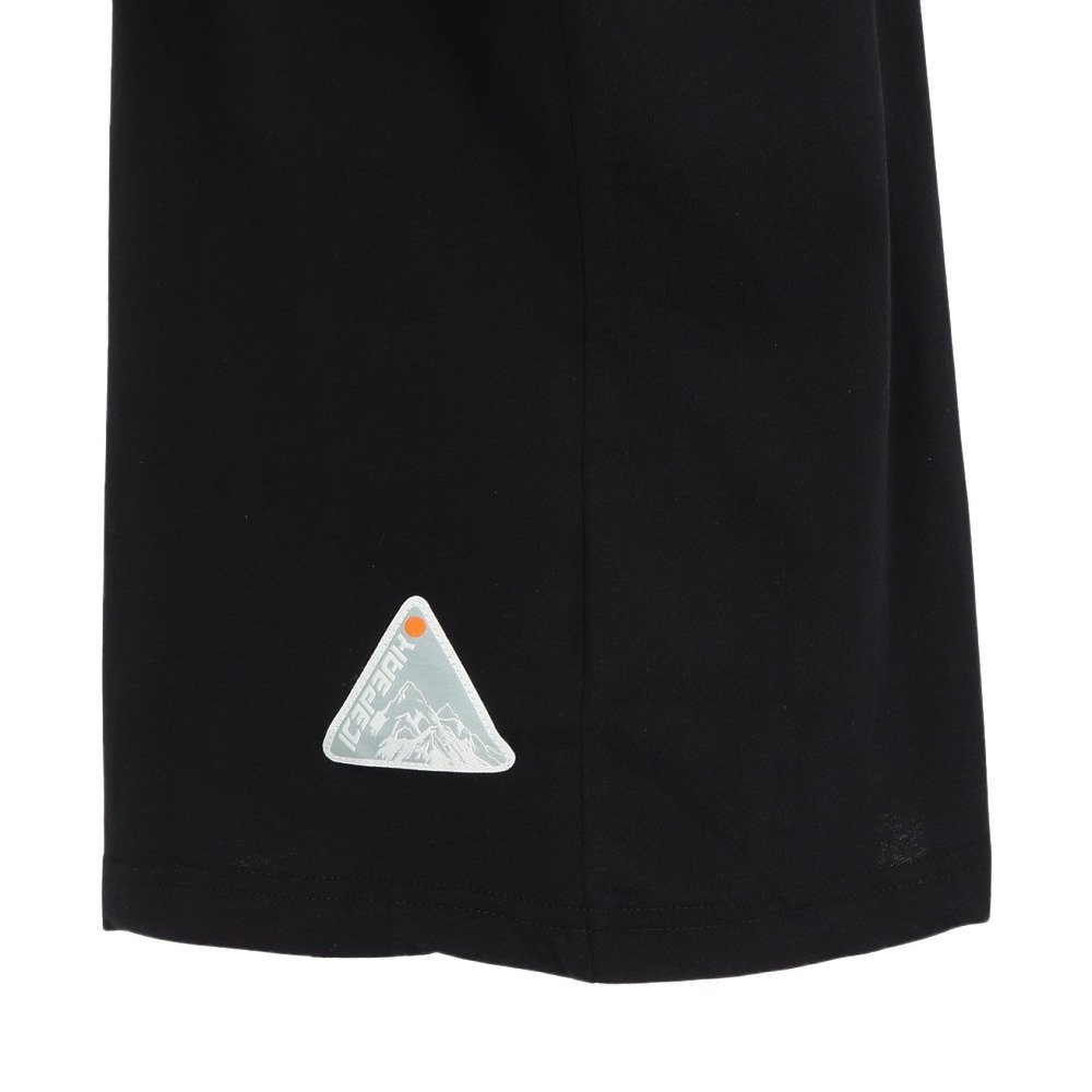アイスピーク（icepeak）（メンズ）半袖 Tシャツ トップス MILLINGTON 57635 660 990
