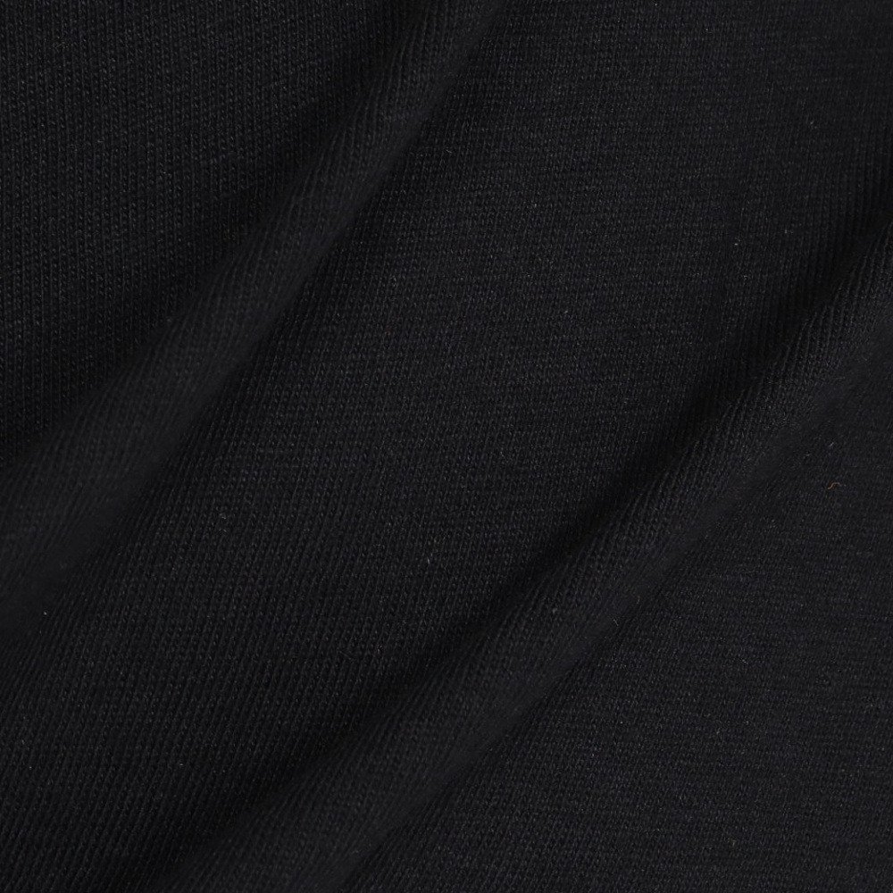 アイスピーク（icepeak）（メンズ）半袖 Tシャツ トップス MILLINGTON 57635 660 990