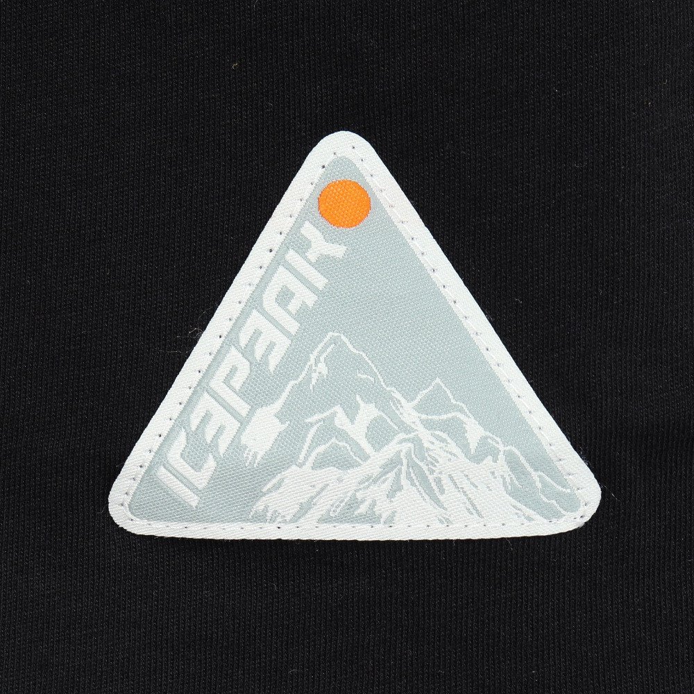 アイスピーク（icepeak）（メンズ）半袖 Tシャツ トップス MILLINGTON 57635 660 990