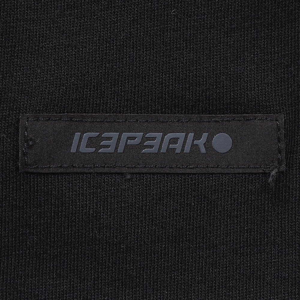 アイスピーク（icepeak）（メンズ）半袖 Tシャツ トップス AITKIN 57681 689 990