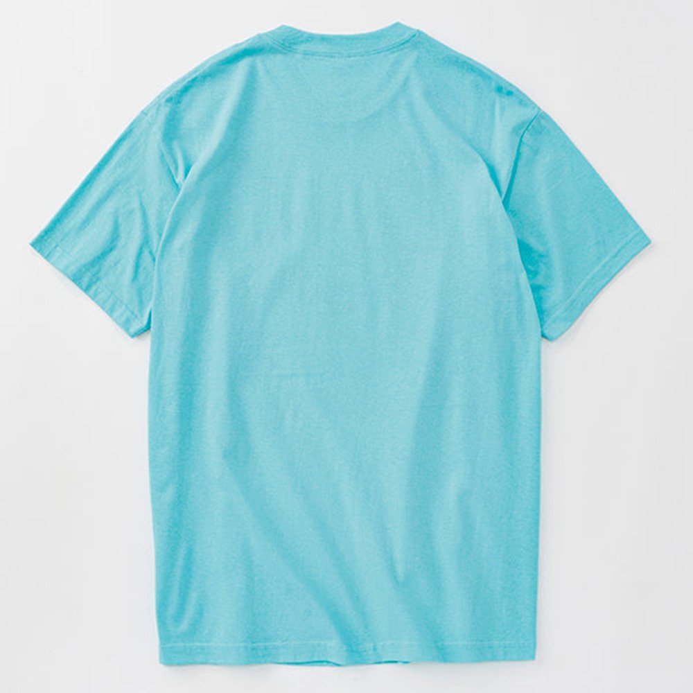 KAVU（KAVU）（メンズ）22 ドッグ Tシャツ 19822484Celadon