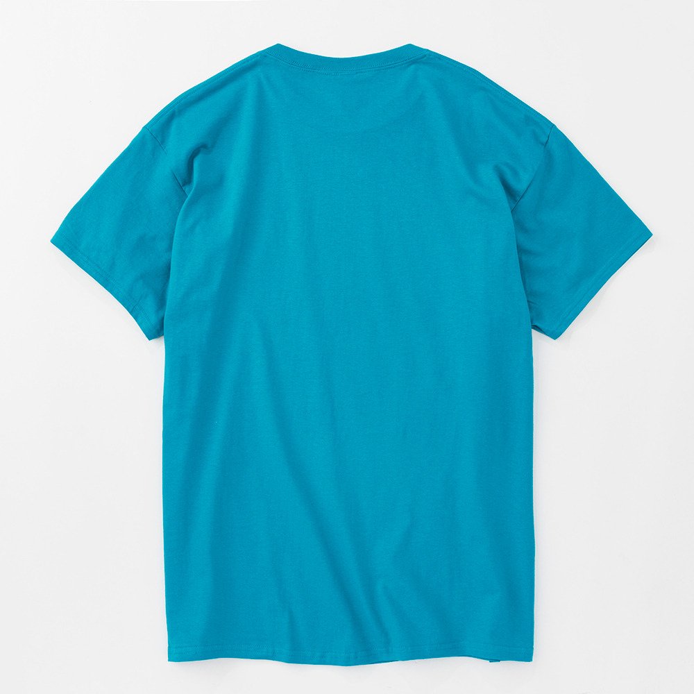 KAVU（KAVU）（メンズ）26Sサーモン Tシャツ 19822490 Jade