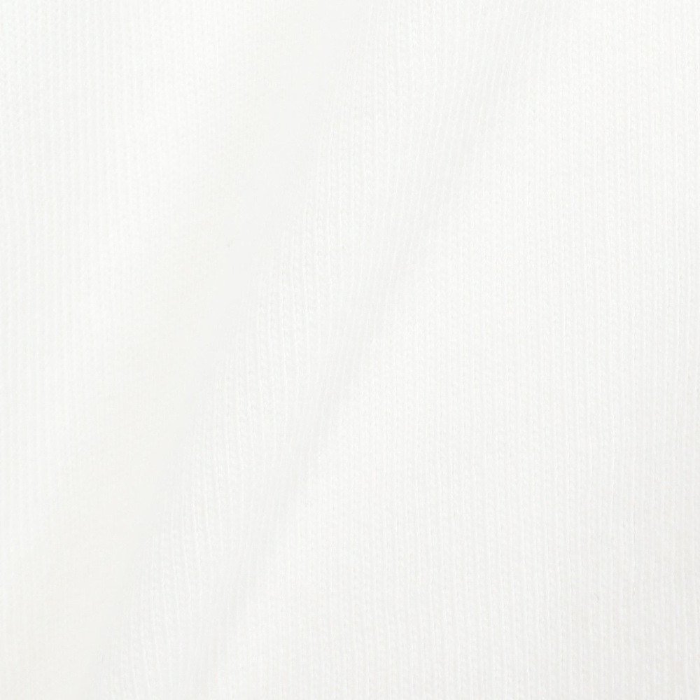 ゴースローキャラバン（GOSLOWCARAVAN）（メンズ）レオパードゲッコー IMPACT ゆったり 半袖Tシャツ 361916 WHT