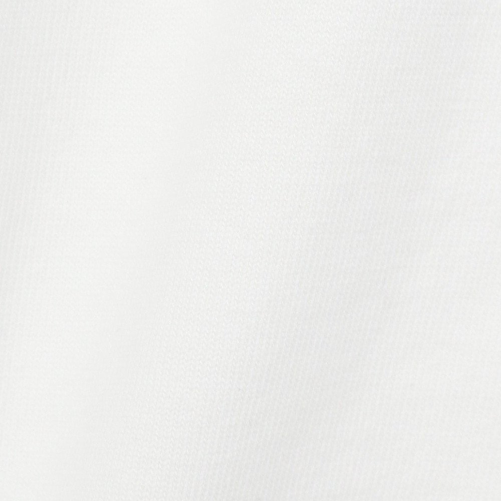 ゴースローキャラバン（GOSLOWCARAVAN）（メンズ、レディース）RAY綿 猫と麦酒 半袖Tシャツ 猫生乾杯 362616 WHT