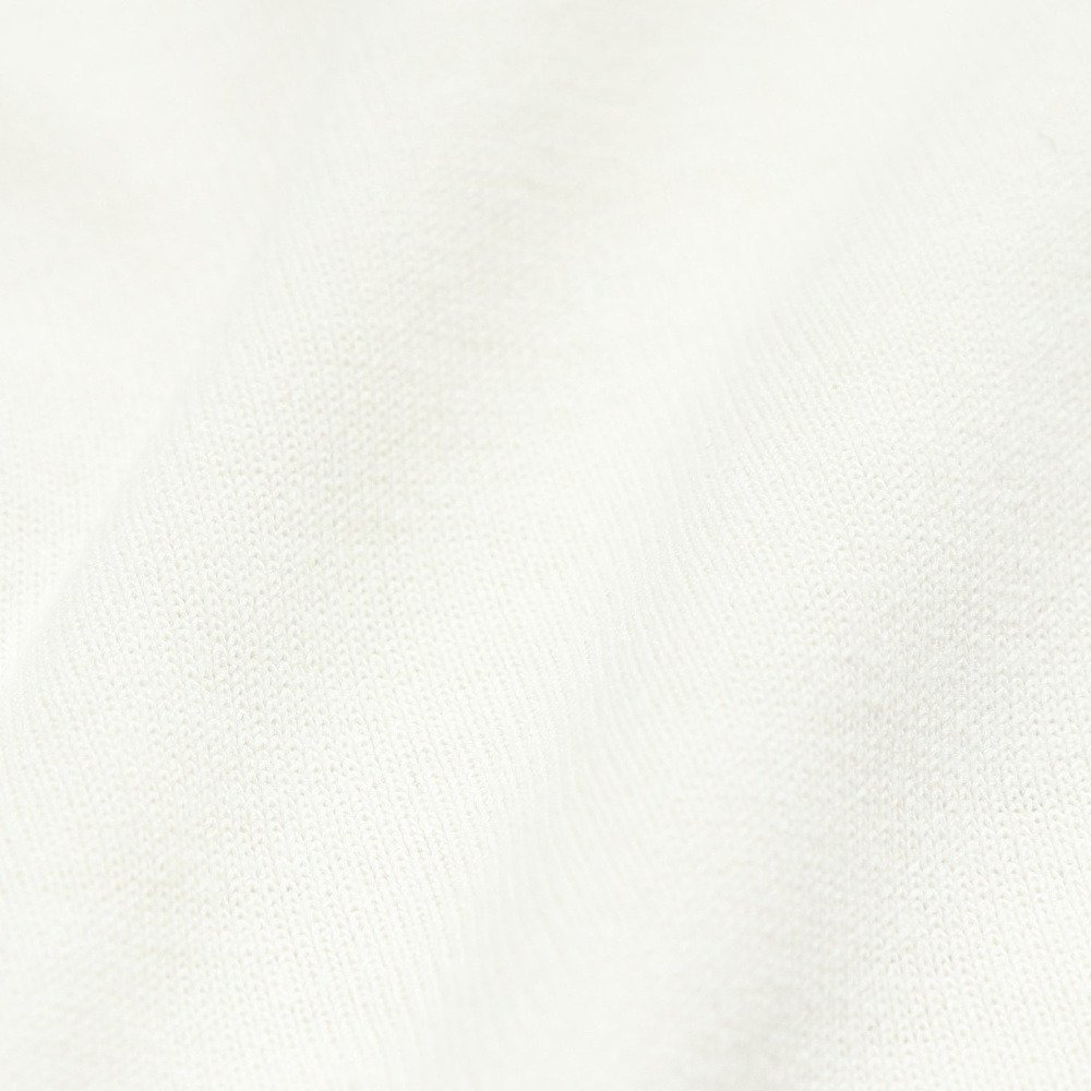 ゴースローキャラバン（GOSLOWCARAVAN）（メンズ、レディース）Drymix 海猫 半袖Tシャツ 365601 IVY