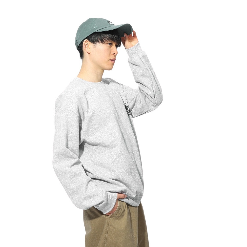 カブー（KAVU）（メンズ）トゥルーロゴスウェット 19823037 トレーナー