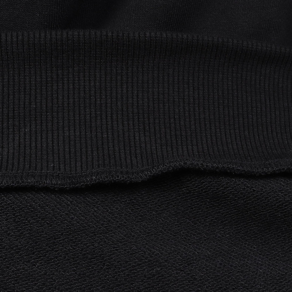 ポーラー（POLER）（メンズ）LABEL フーディ 253MCV0070-BLK