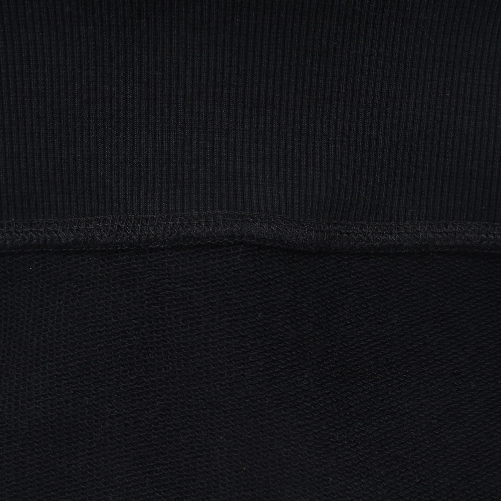 ゴースローキャラバン（GOSLOWCARAVAN）（メンズ）刺繍 プルオーバー パーカー 352601 BLK