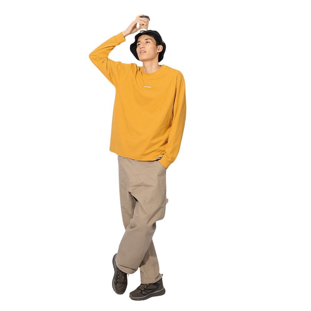 ジャックウルフスキン（JackWolfskin）（メンズ、レディース）ミニロゴ ロングスリーブ Tシャツ A63037-M0042
