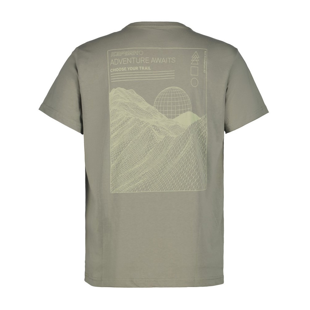 アイスピーク（ICEPEAK）（メンズ）Tシャツ MOORETON 57700 932 561