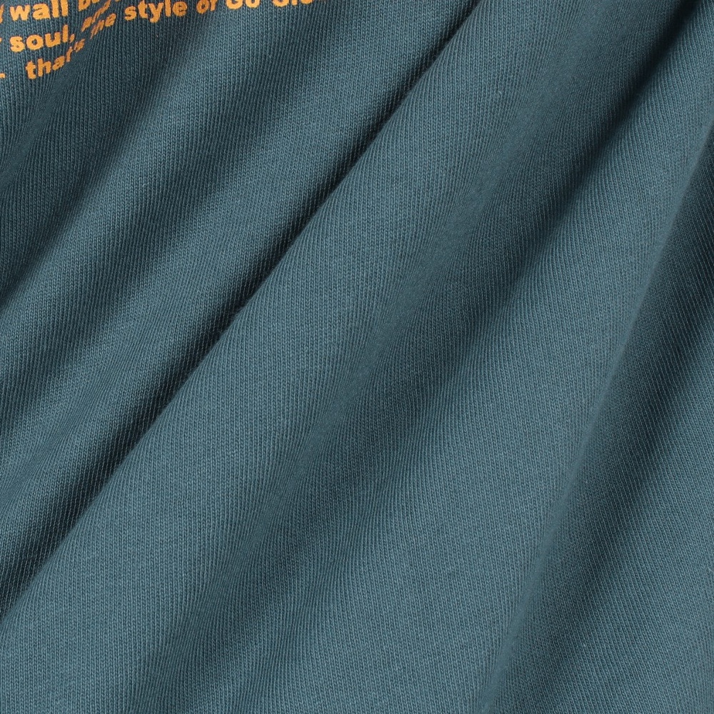 ゴースローキャラバン（GOSLOWCARAVAN）（メンズ）スクエアロゴ バックプリント 長袖Tシャツ 341901 BLU