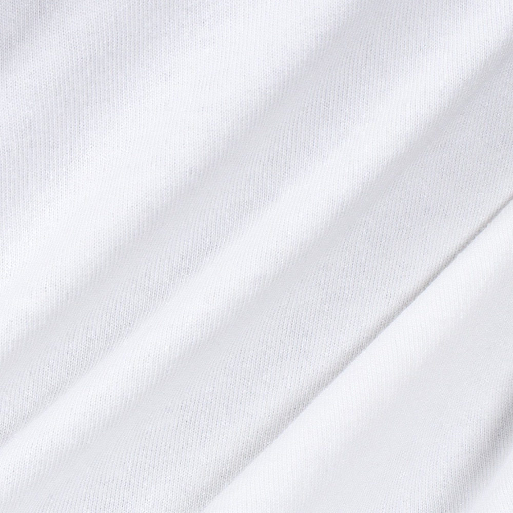 ゴースローキャラバン（GOSLOWCARAVAN）（メンズ、レディース）レオパードゲッコー 長袖Tシャツ 341903 WHT