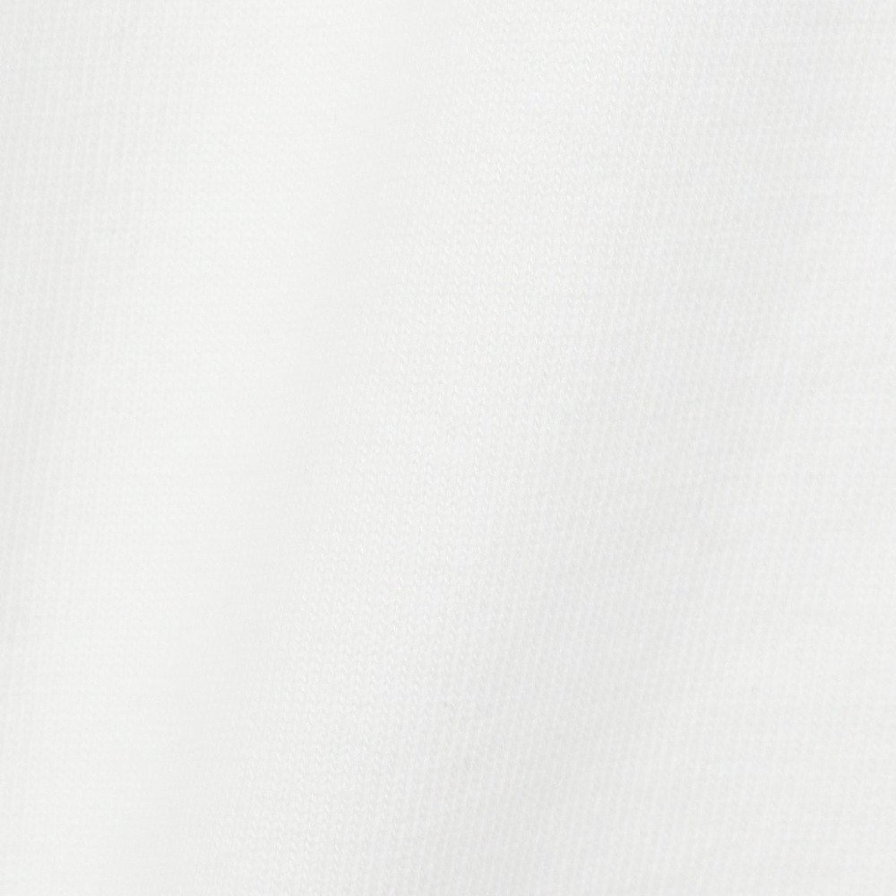 ゴースローキャラバン（GOSLOWCARAVAN）（メンズ、レディース）RAY綿 猫と麦酒 半袖Tシャツ 猫生乾杯 362616 WHT