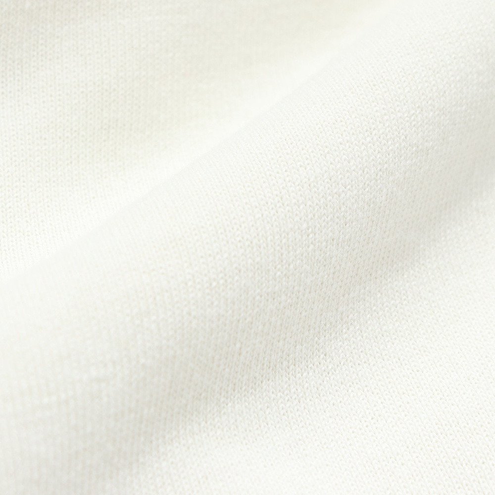 ゴースローキャラバン（GOSLOWCARAVAN）（レディース）Drymix 海猫 半袖Tシャツ 365601 IVY
