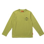 フラッシュグリーン