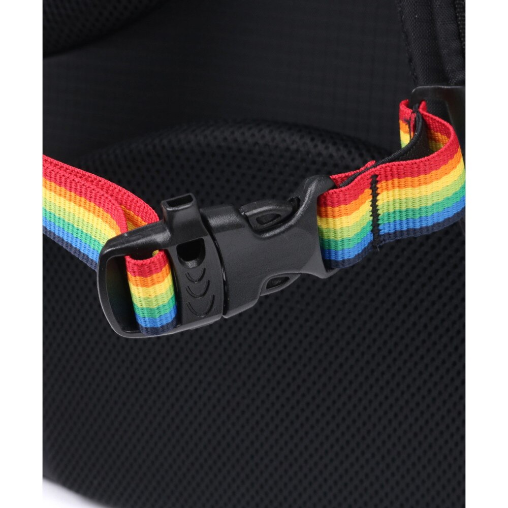 チャムス（CHUMS）（メンズ、レディース）デイパック スプリングデール20 CH60-3749-K042