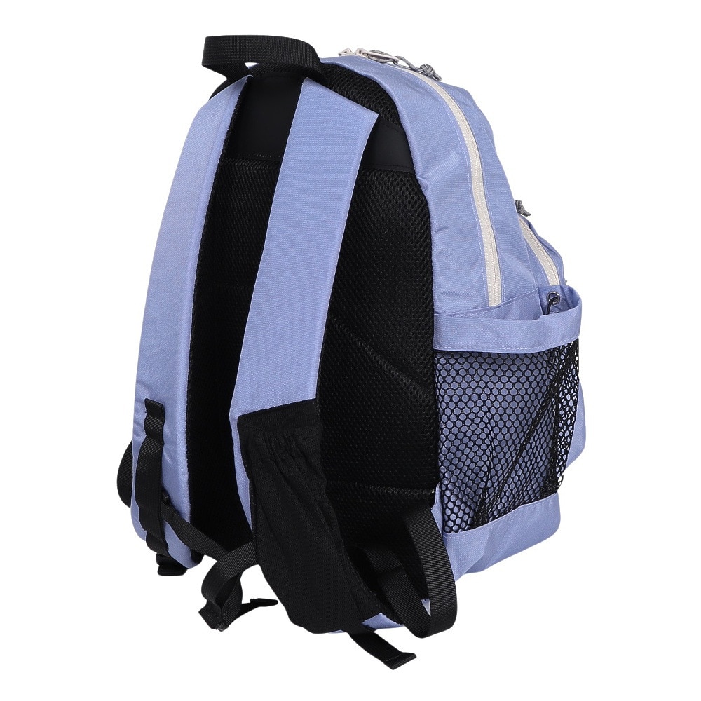 コブマスター（Cobmaster）（メンズ、レディース）バックパック コブCX アイリスパック 20L 81119800-0052
