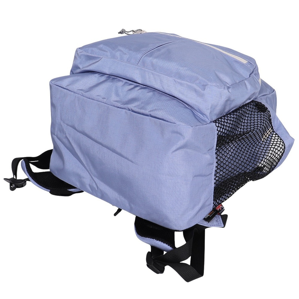 コブマスター（Cobmaster）（メンズ、レディース）バックパック コブCX アイリスパック 20L 81119800-0052