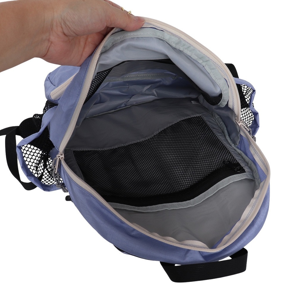 コブマスター（Cobmaster）（メンズ、レディース）バックパック コブCX アイリスパック 20L 81119800-0052