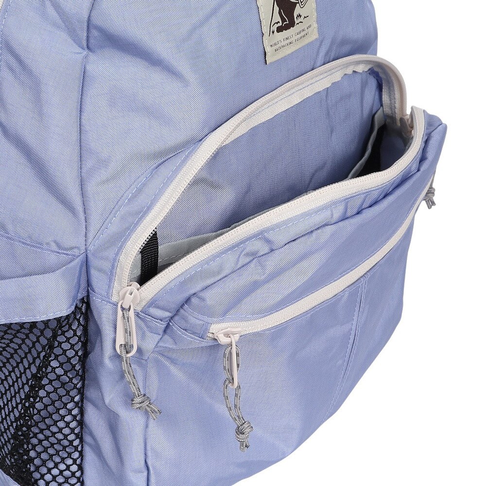 コブマスター（Cobmaster）（メンズ、レディース）バックパック コブCX アイリスパック 20L 81119800-0052