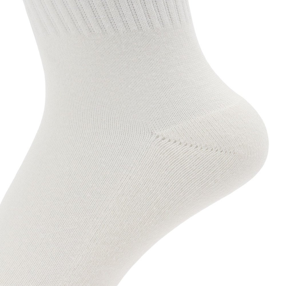 フットマーク（FOOTMARK）（メンズ、レディース）NATURAL ラインソックス 3100479-01