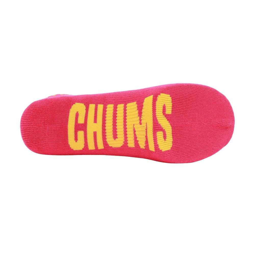 チャムス（CHUMS）（メンズ、レディース）デイソックス CH06-1146-Z413